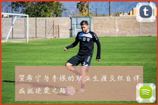贺希宁与李根的职业生涯交织自律成就逆袭之路